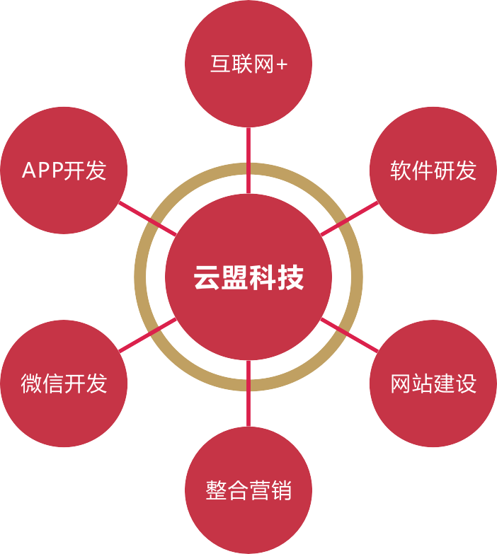 软件定制